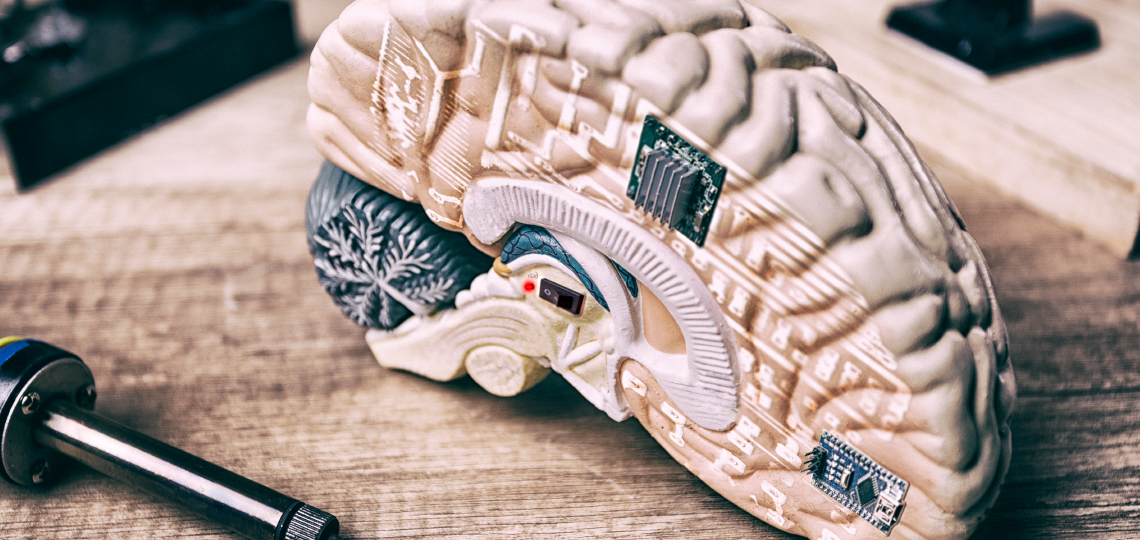 forbrain Beyin Antrenörü (Brain Trainer) Sertifika Programı - İstanbul